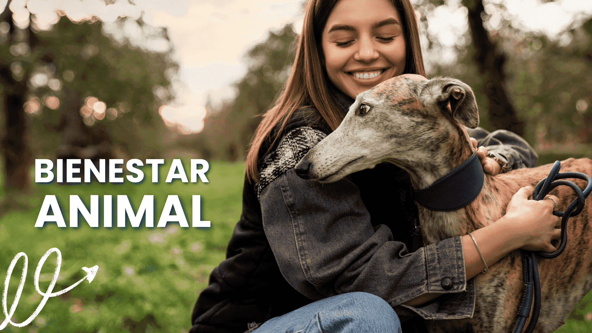 Bienestar animal perros