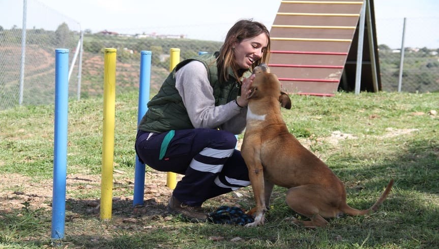 proteccion animal grupo sasti